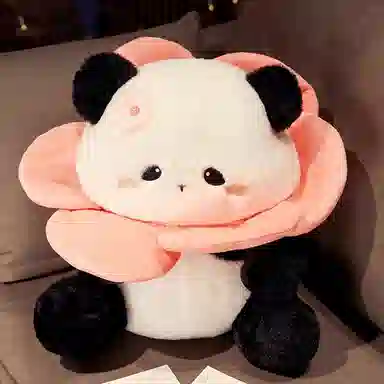 30cm50cm