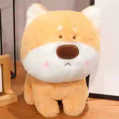 35cm45cm55cm