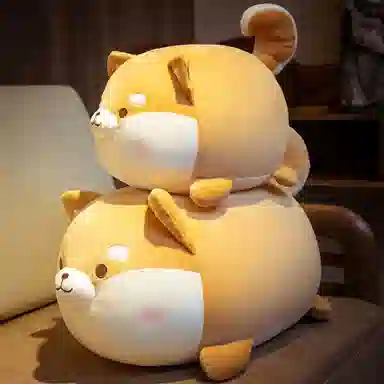 35cm50cm