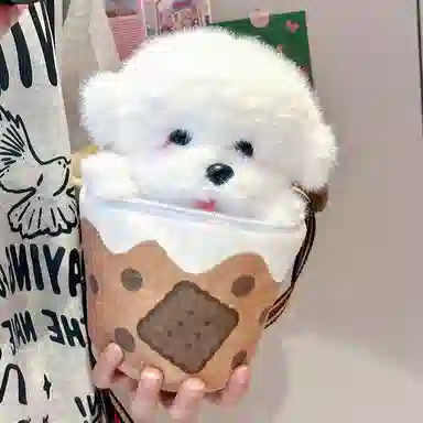 25cm