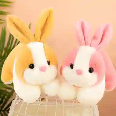 28cm35cm