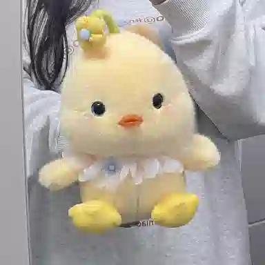 23cm