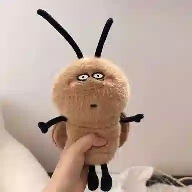 20cm30cm