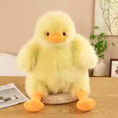 35cm60cm