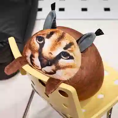 彩上皇 方方狞猫 抽象创意 玩偶 毛绒公仔