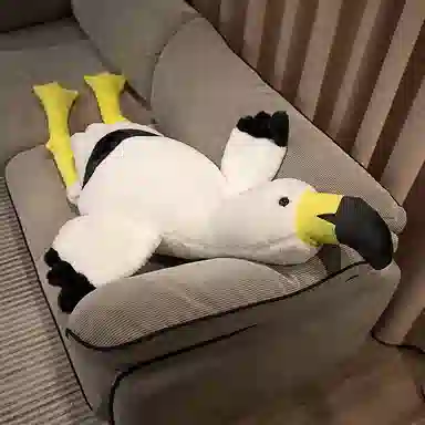 70cm90cm130cm160cm180cm