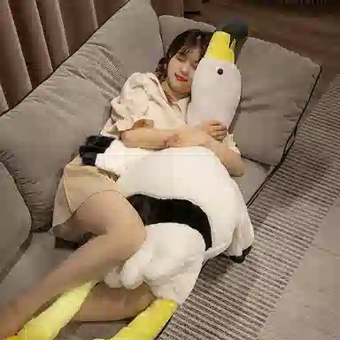 70cm90cm130cm160cm180cm