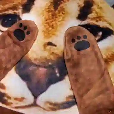 彩上皇 方方狞猫 抽象创意 玩偶 毛绒公仔