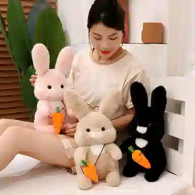 30cm40cm