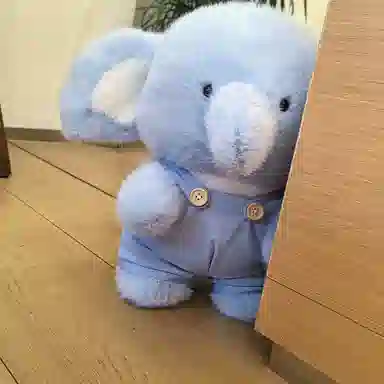 lionf 40cm