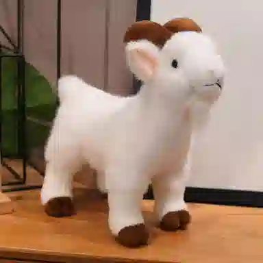 lionf 30cm