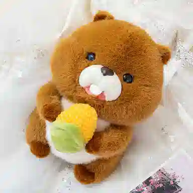 20cm30cm