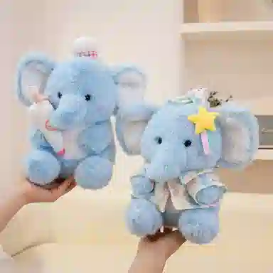22cm30cm