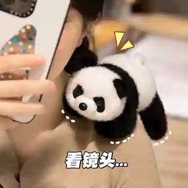 lionf 20cm