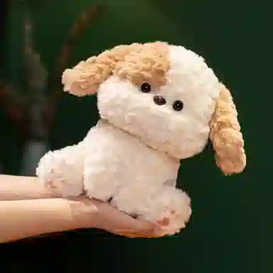 lionf 22cm