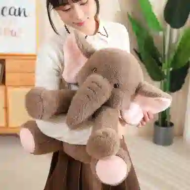 lionf 23cm35cm