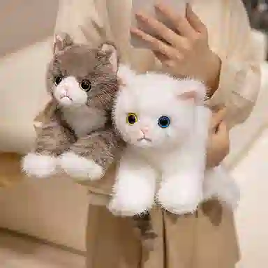40cm