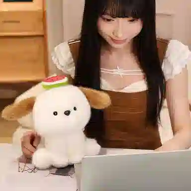 20cm