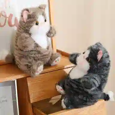 lionf 25cm40cm60cm80cm