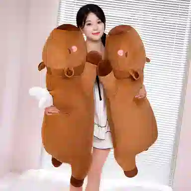 60cm80cm100cm