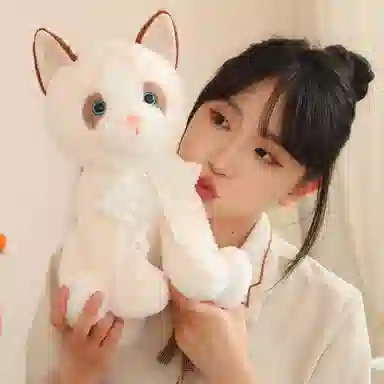 lionf 25cm33cm