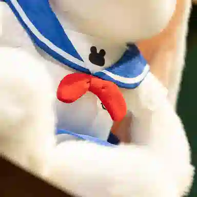 lionf 35cm50cm
