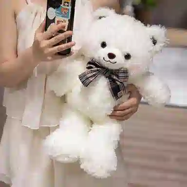 lionf 35cm45cm