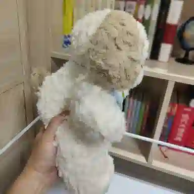 38cm