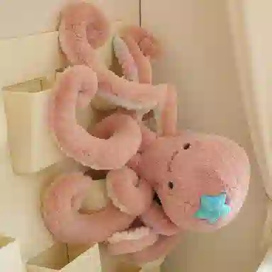 50cm75cm