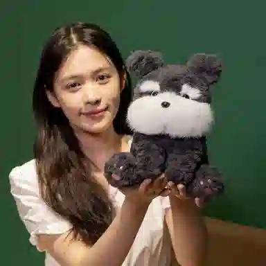 lionf 22cm
