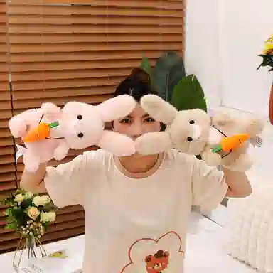 30cm40cm