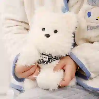 lionf 22cm