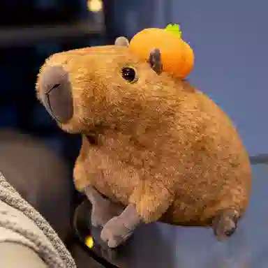 lionf 30cm