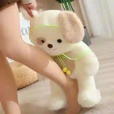 45cm60cm