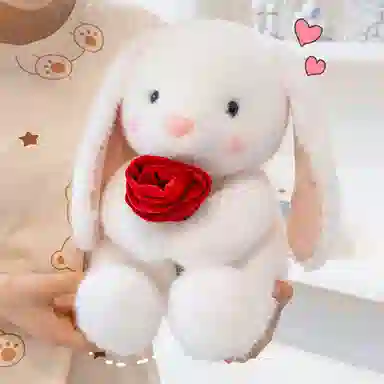 25cm35cm