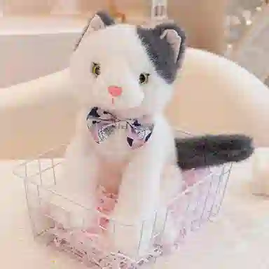 lionf 25cm35cm
