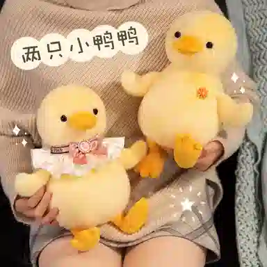 25cm
