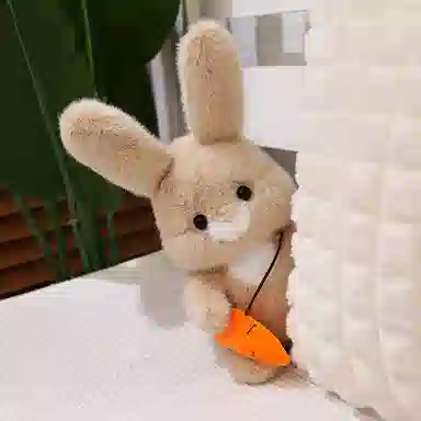 30cm40cm
