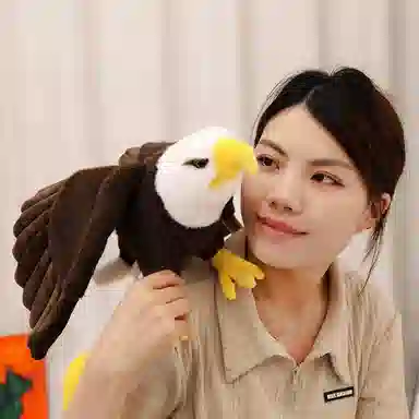 60cm90cm