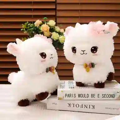 25cm30cm