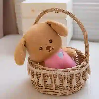 lionf 23cm