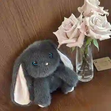 lionf 25cm