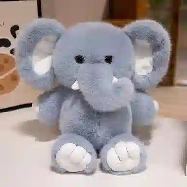 lionf 40cm