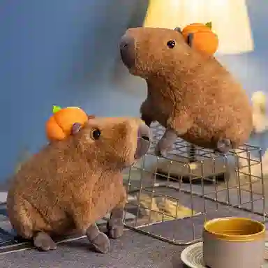lionf 30cm