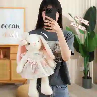 lionf 40cm50cm