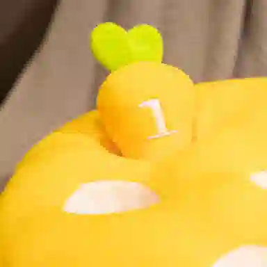 lionf 30cm40cm