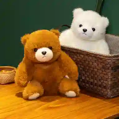 lionf 25cm