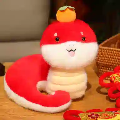 25cm