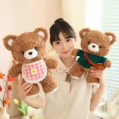 25cm35cm