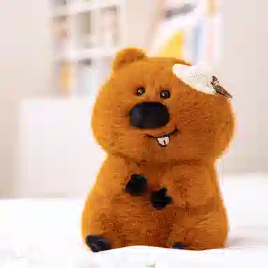 lionf 33cm23cm